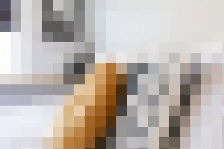 Achterste Wei 53 Harderwijk thumbnail 35
