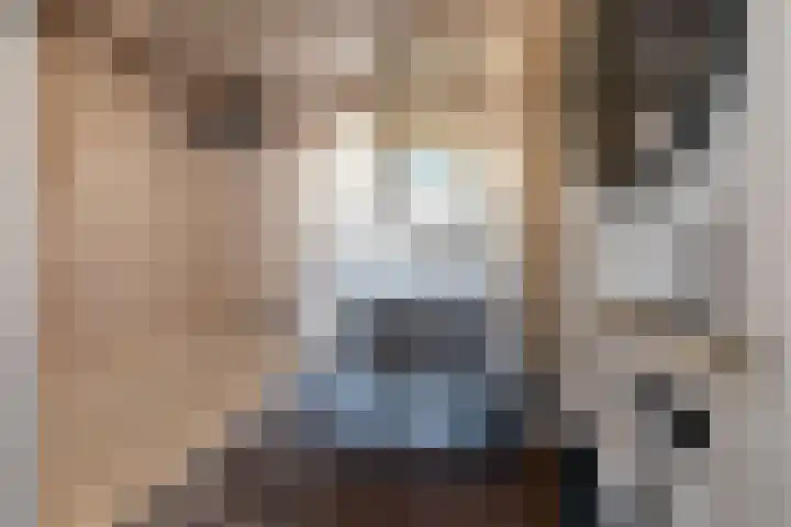 Achterste Wei 53 Harderwijk thumbnail 36