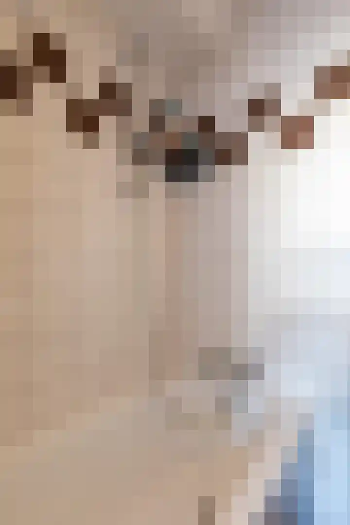 Achterste Wei 53 Harderwijk thumbnail 37