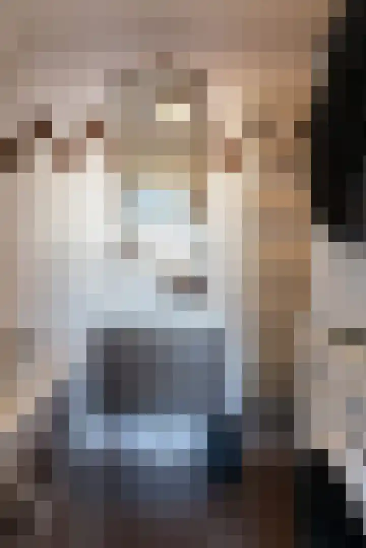 Achterste Wei 53 Harderwijk thumbnail 38