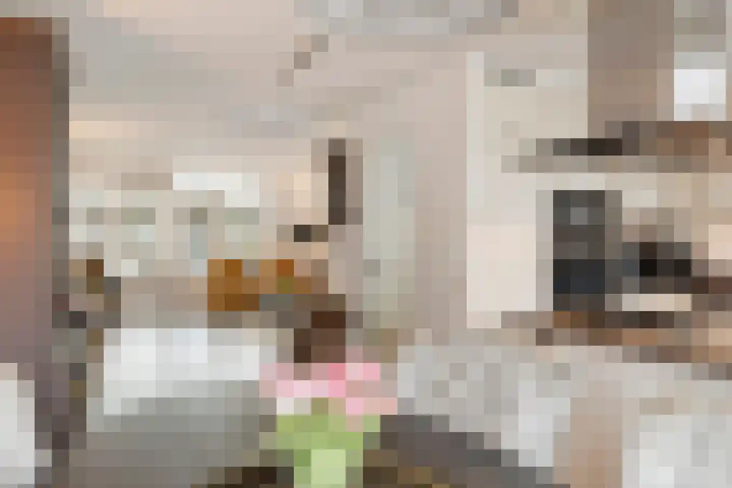 Achterste Weide 30 Duiven thumbnail 16