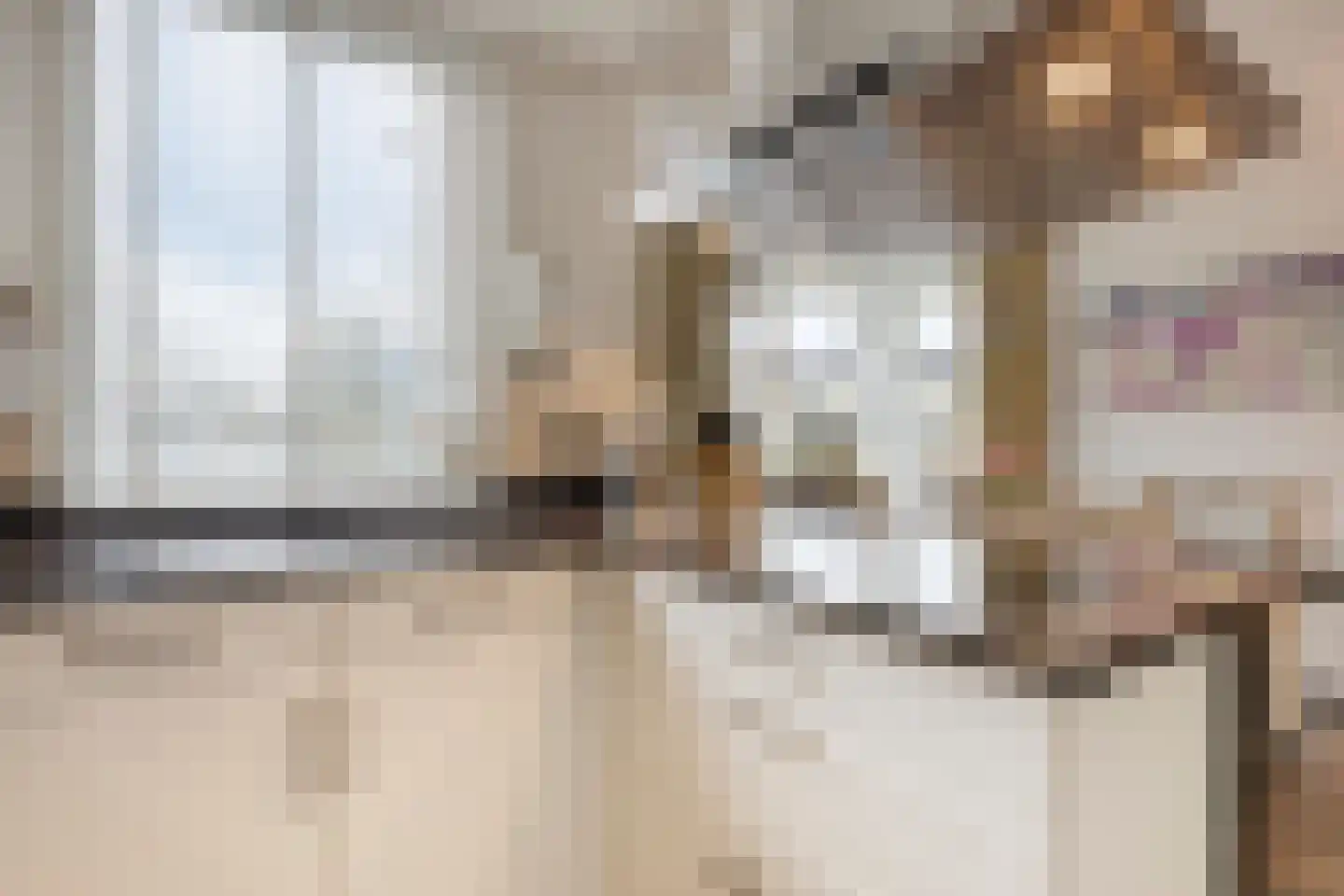 Achterste Weide 30 Duiven thumbnail 18