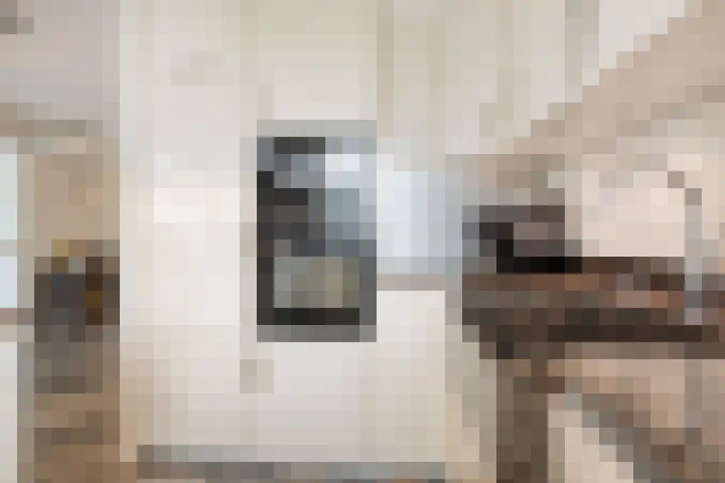 Achterste Weide 30 Duiven thumbnail 19