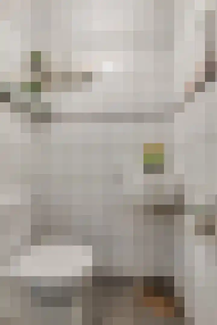 Achterste Weide 30 Duiven thumbnail 22