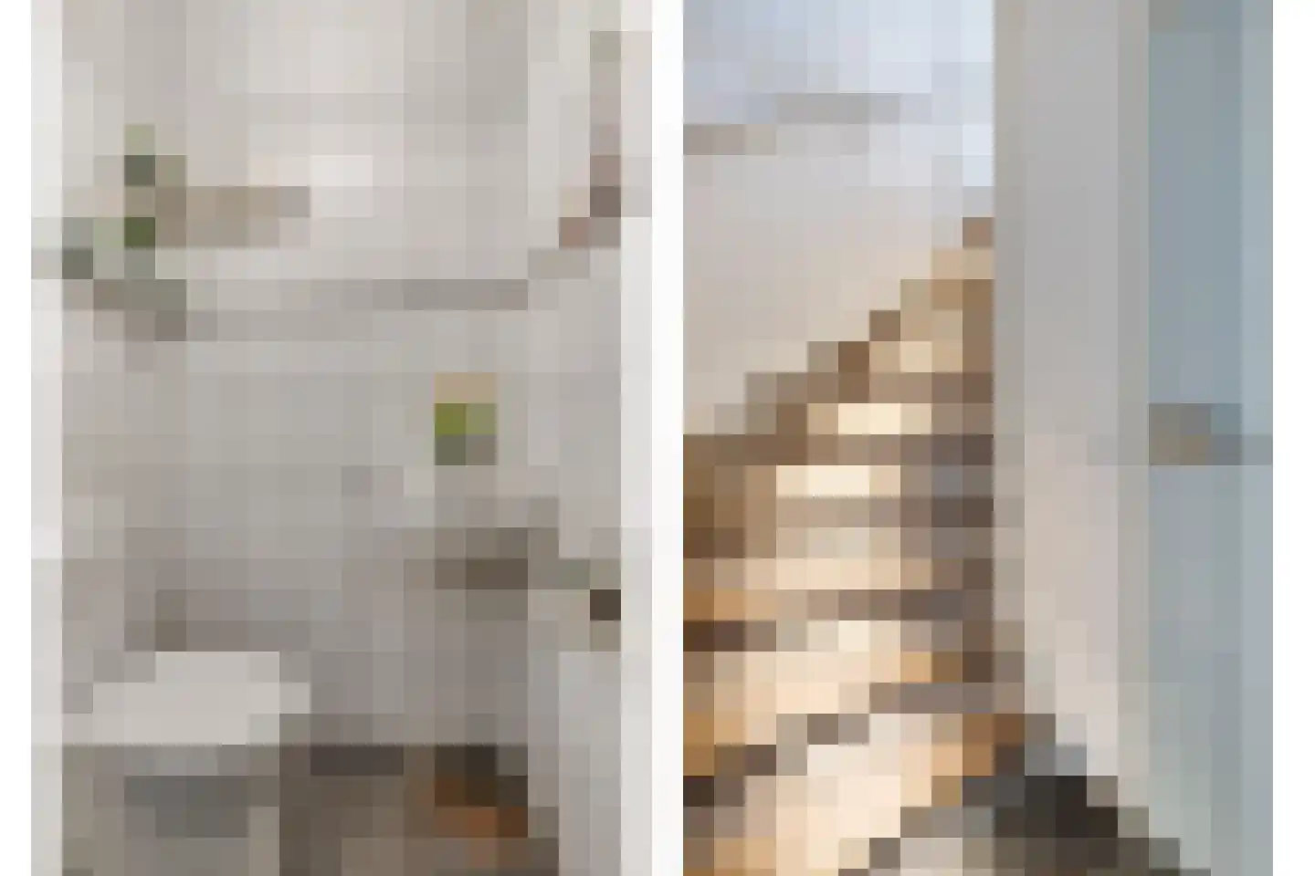 Achterste Weide 30 Duiven thumbnail 23