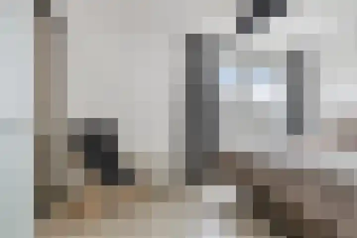 Achterste Weide 30 Duiven thumbnail 28