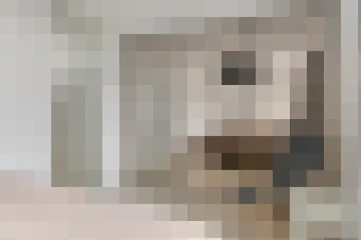 Achterste Weide 30 Duiven thumbnail 30
