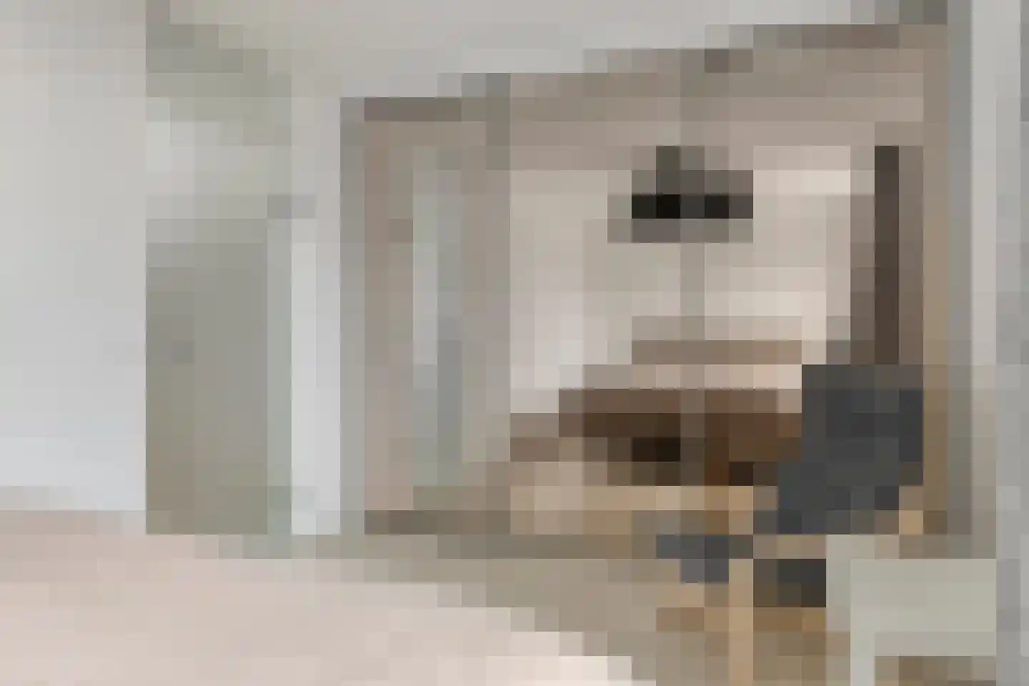 Achterste Weide 30 Duiven thumbnail 30