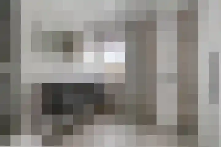 Achterste Weide 30 Duiven thumbnail 31