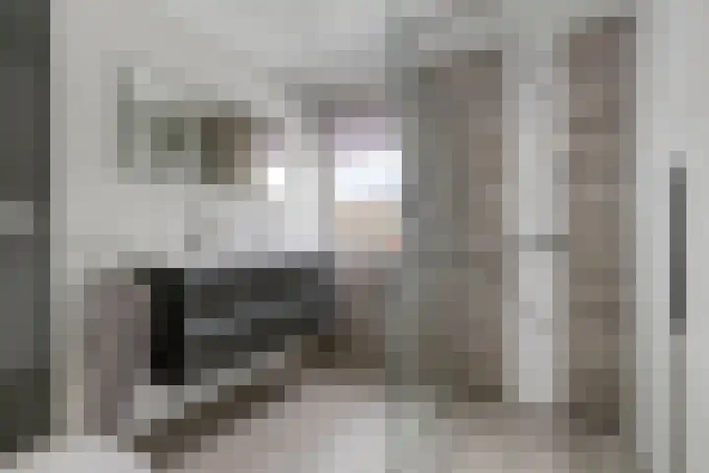 Achterste Weide 30 Duiven thumbnail 31