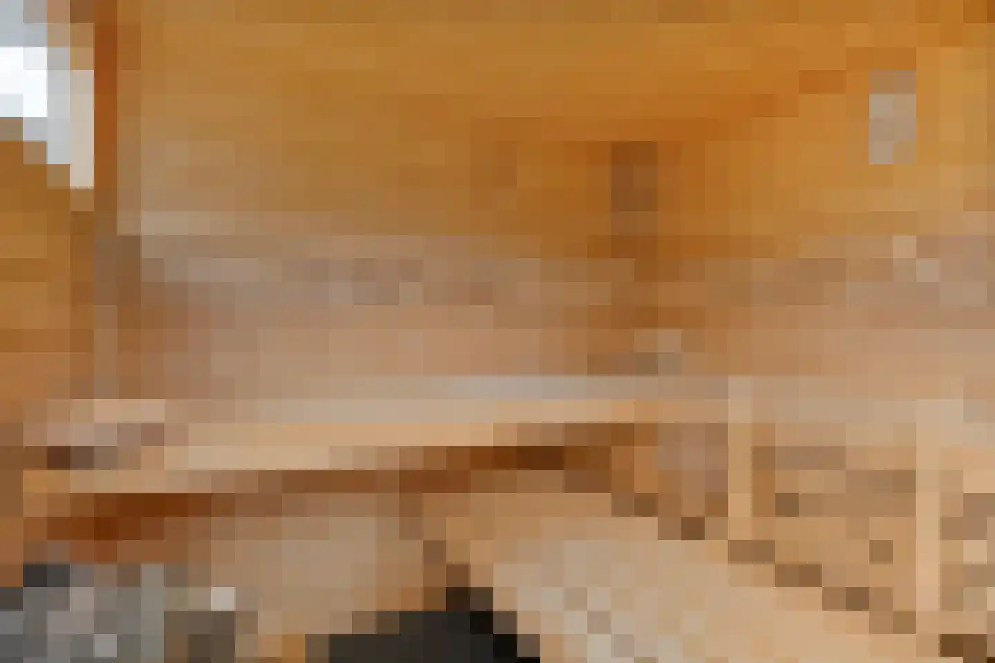 Achterste Weide 30 Duiven thumbnail 41