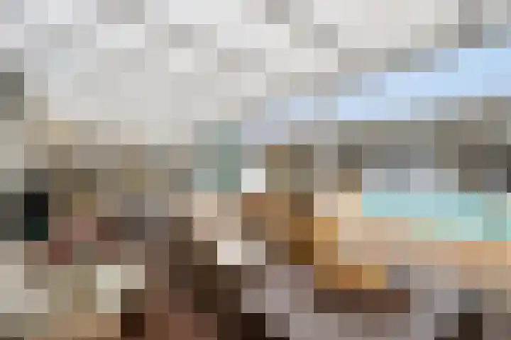 Achterste Weide 30 Duiven thumbnail 44