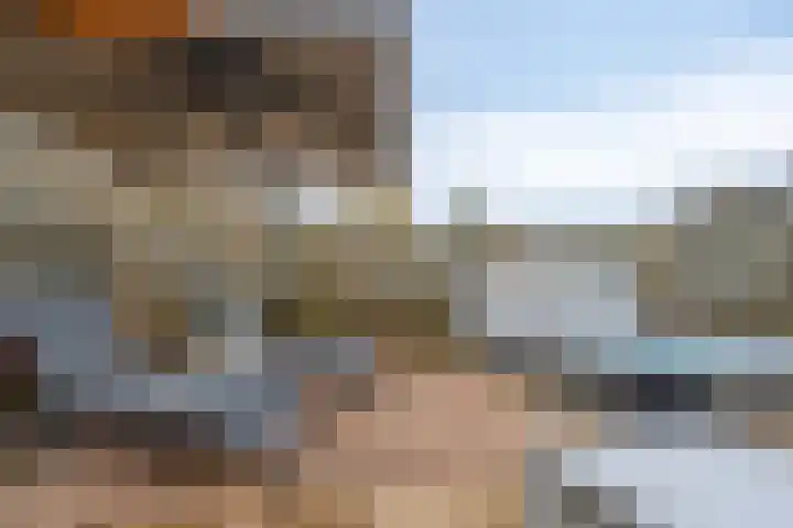 Achterste Weide 30 Duiven thumbnail 51