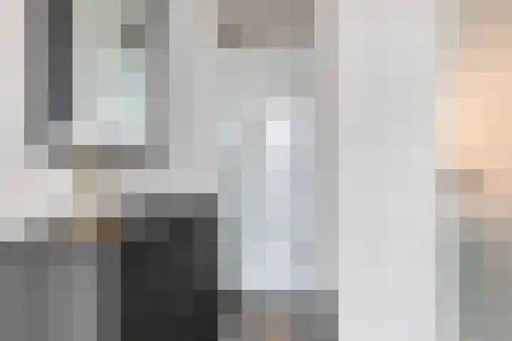 Achterste Weide 30 Duiven thumbnail 6