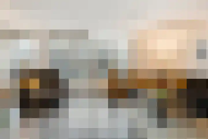 Achterste Weide 30 Duiven thumbnail 7