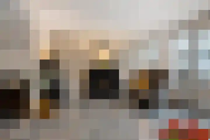 Achterste Weide 30 Duiven thumbnail 9