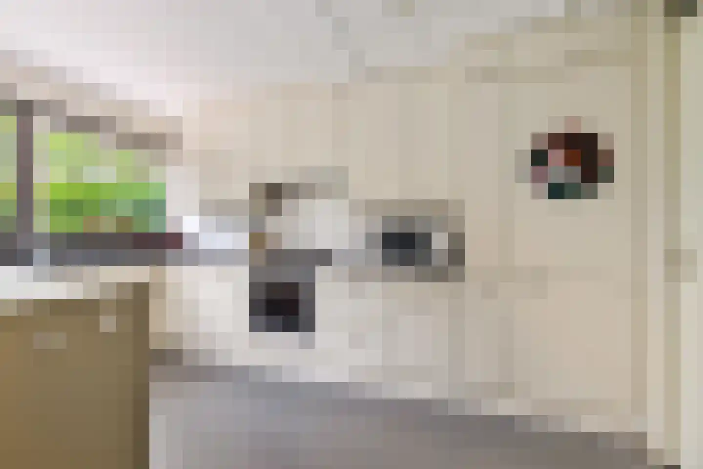 Achterstebree 2 Assen thumbnail 20