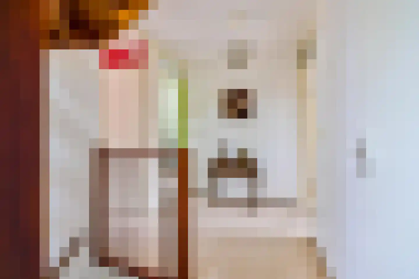 Achterstebree 2 Assen thumbnail 32