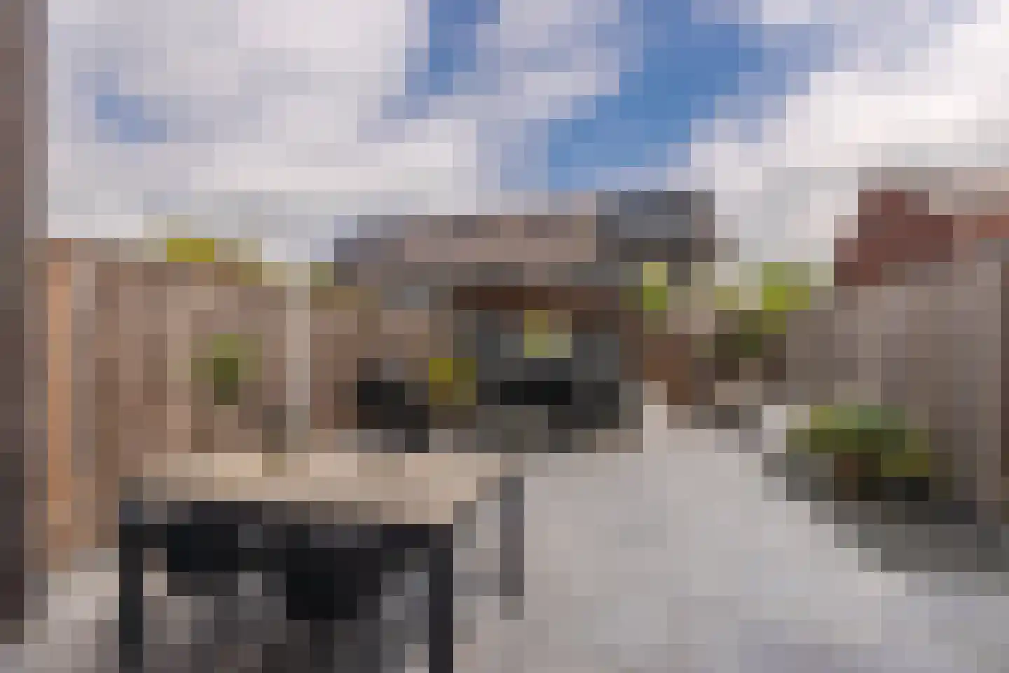 Achterstehaag 9 Zevenaar thumbnail 26