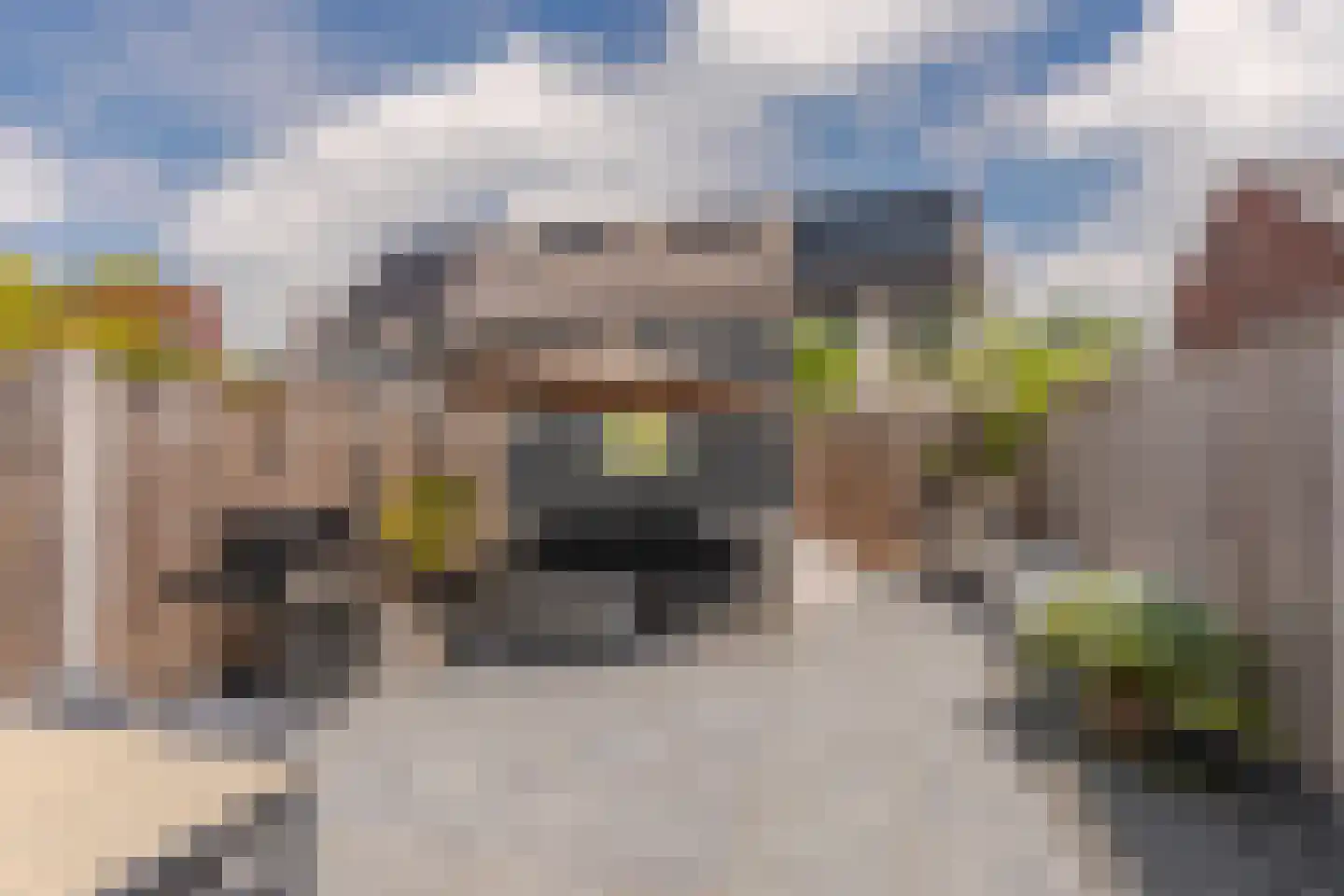Achterstehaag 9 Zevenaar thumbnail 27