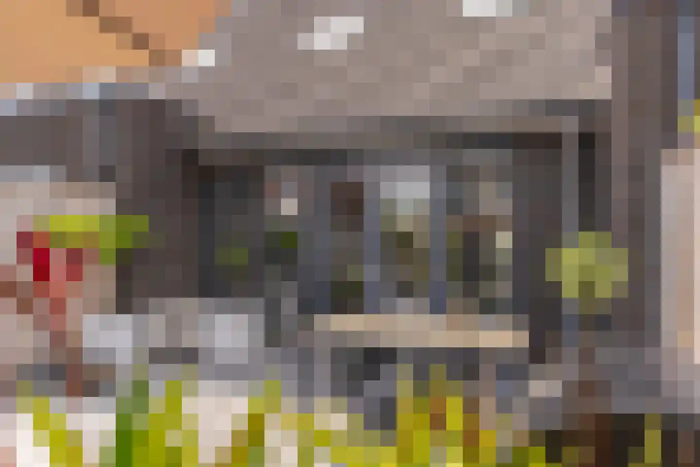 Achterstehaag 9 Zevenaar thumbnail 30