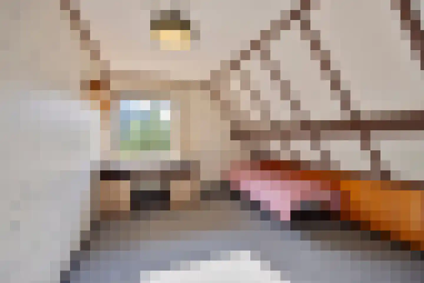 Achterstekamp 7 Roden thumbnail 23