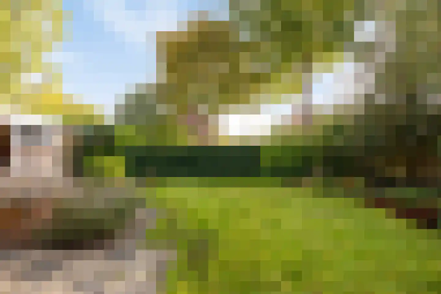 Achterstekamp 7 Roden thumbnail 36