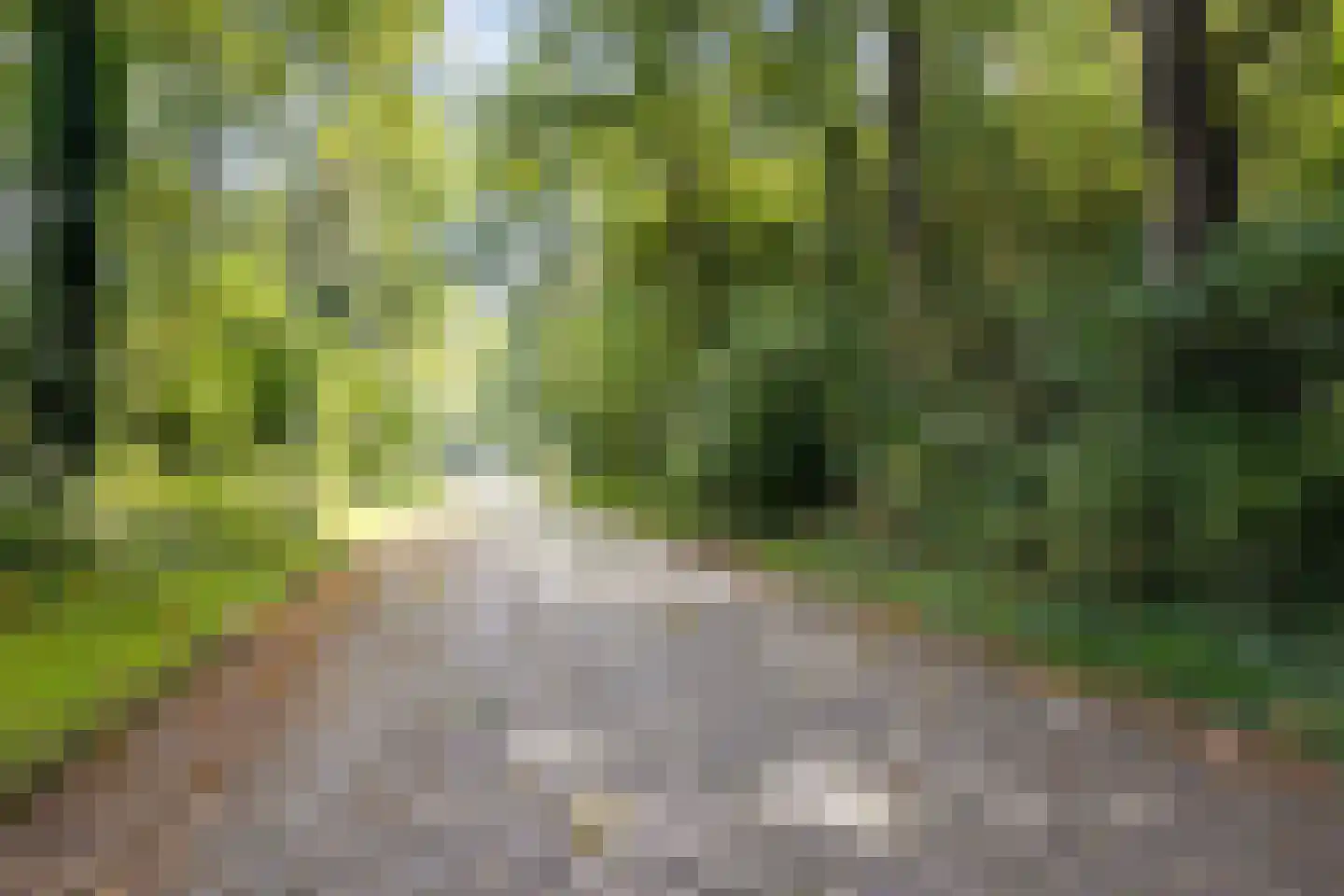 Achterstekamp 7 Roden thumbnail 41