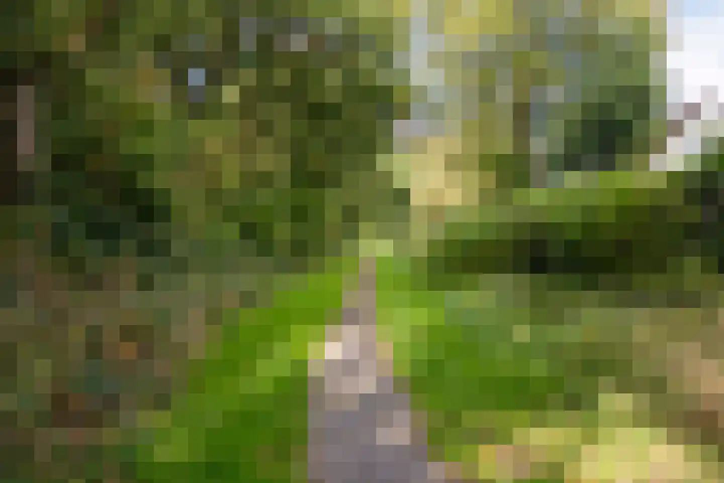 Achterstekamp 7 Roden thumbnail 42