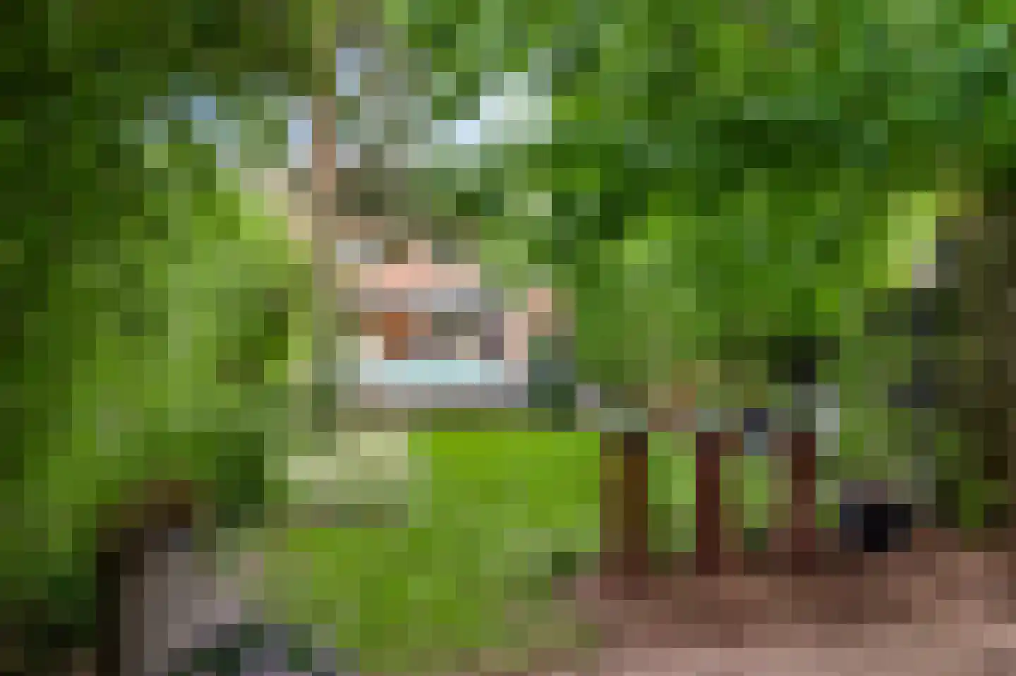 Achterstestraat 37 Weert thumbnail 38