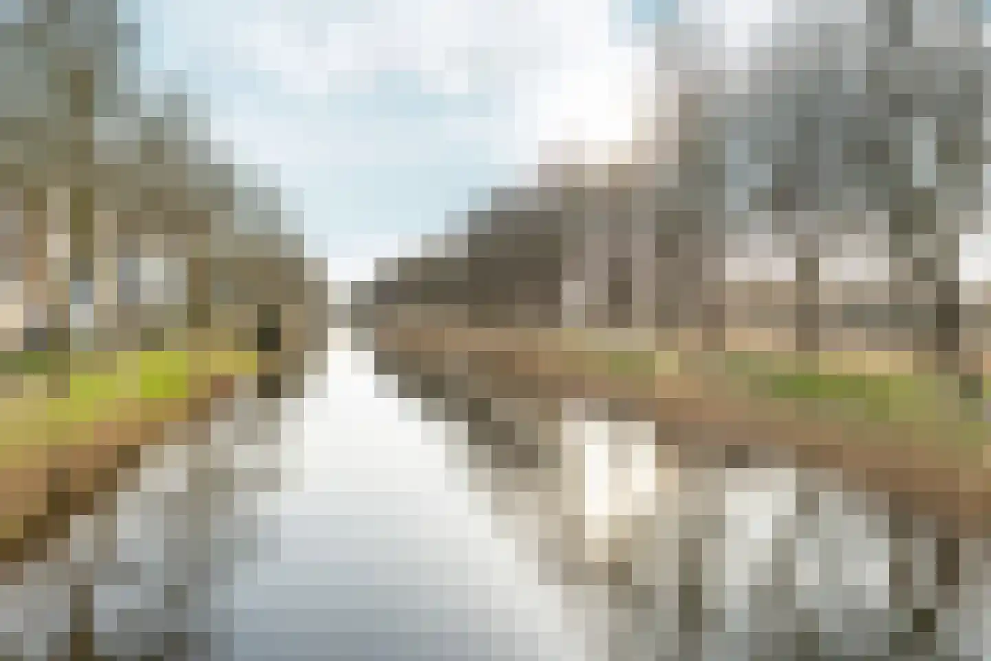 Achtersteven 30 Amsterdam thumbnail 23