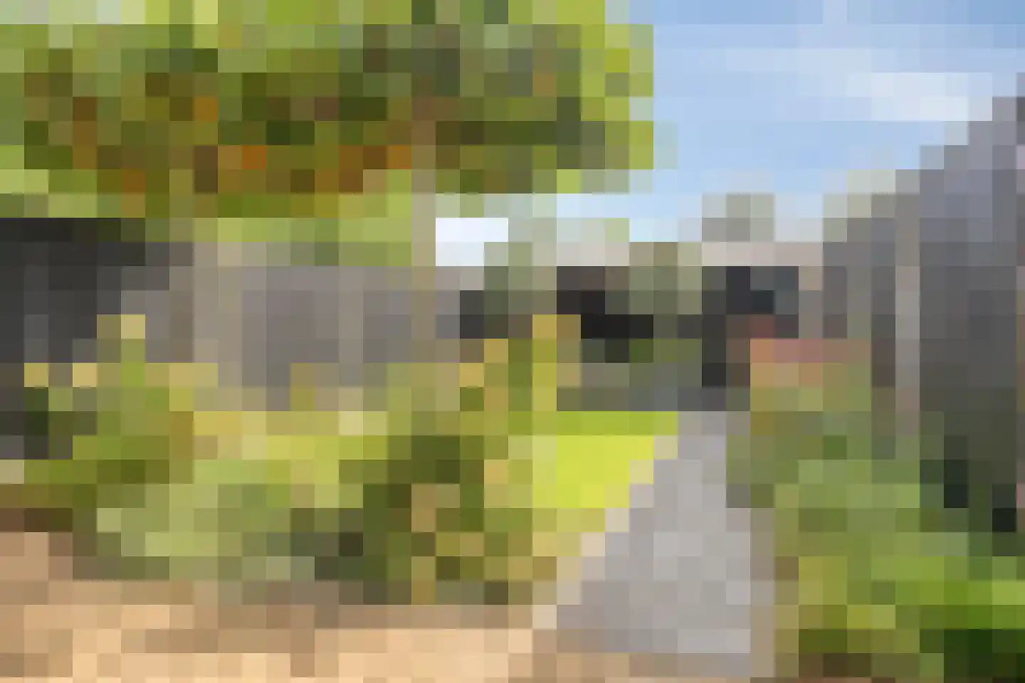 Achtersteven 46 Etten-Leur thumbnail 6
