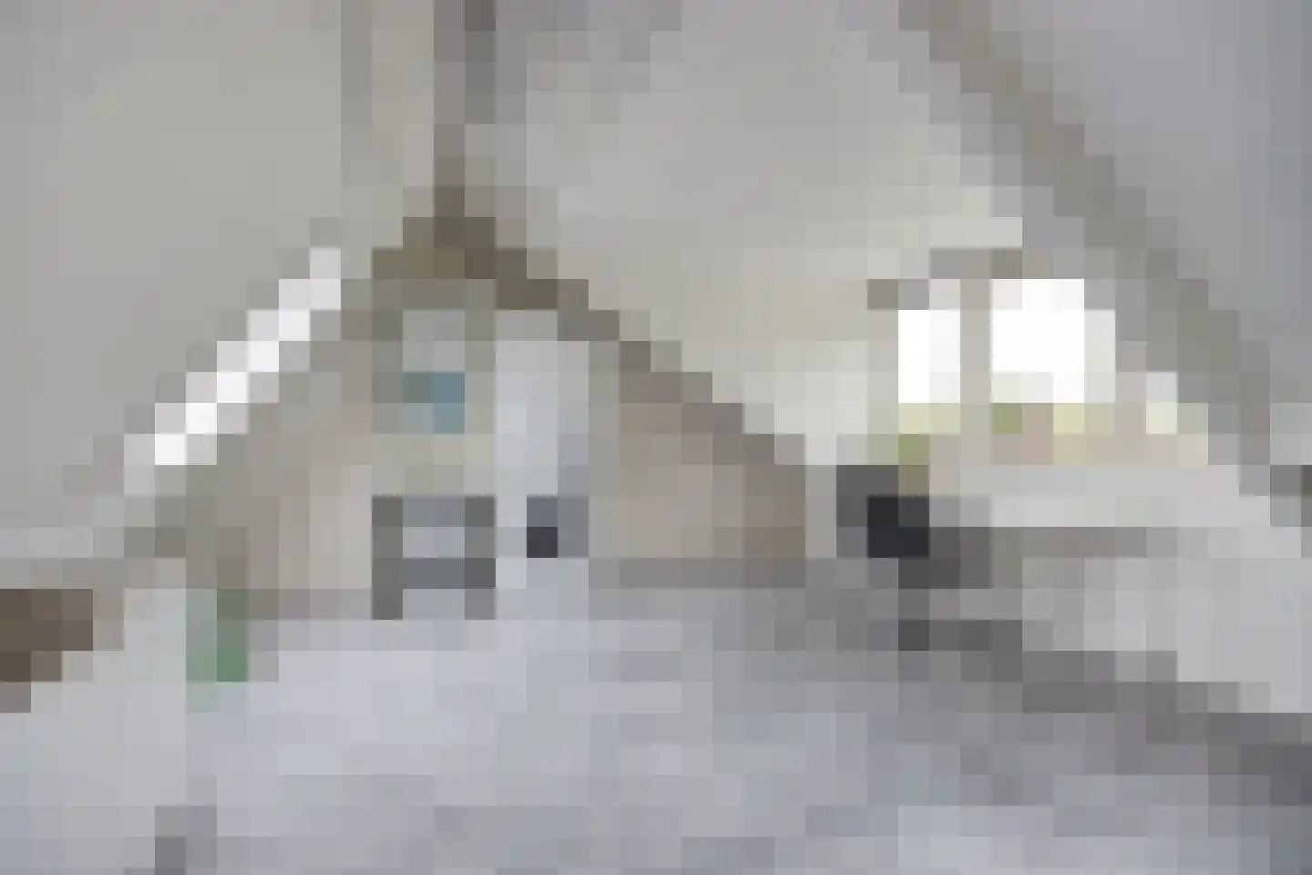 Achtersteven 64 Etten-Leur thumbnail 35