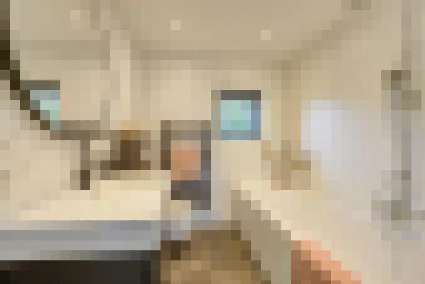 Achtersteven 64 Etten-Leur thumbnail 4