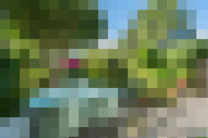 Achtersteven 9 Amsterdam thumbnail 22