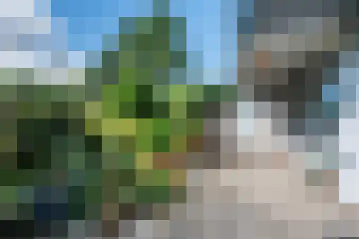 Achtersteven 9 Amsterdam thumbnail 23