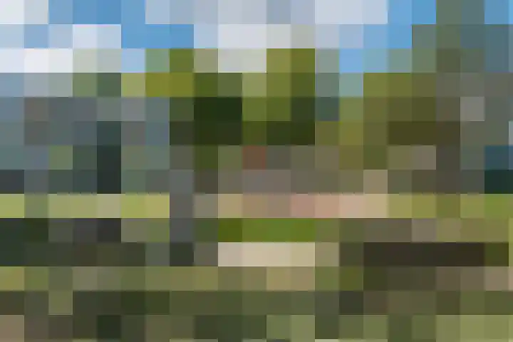 Achtersteven 9 Amsterdam thumbnail 26