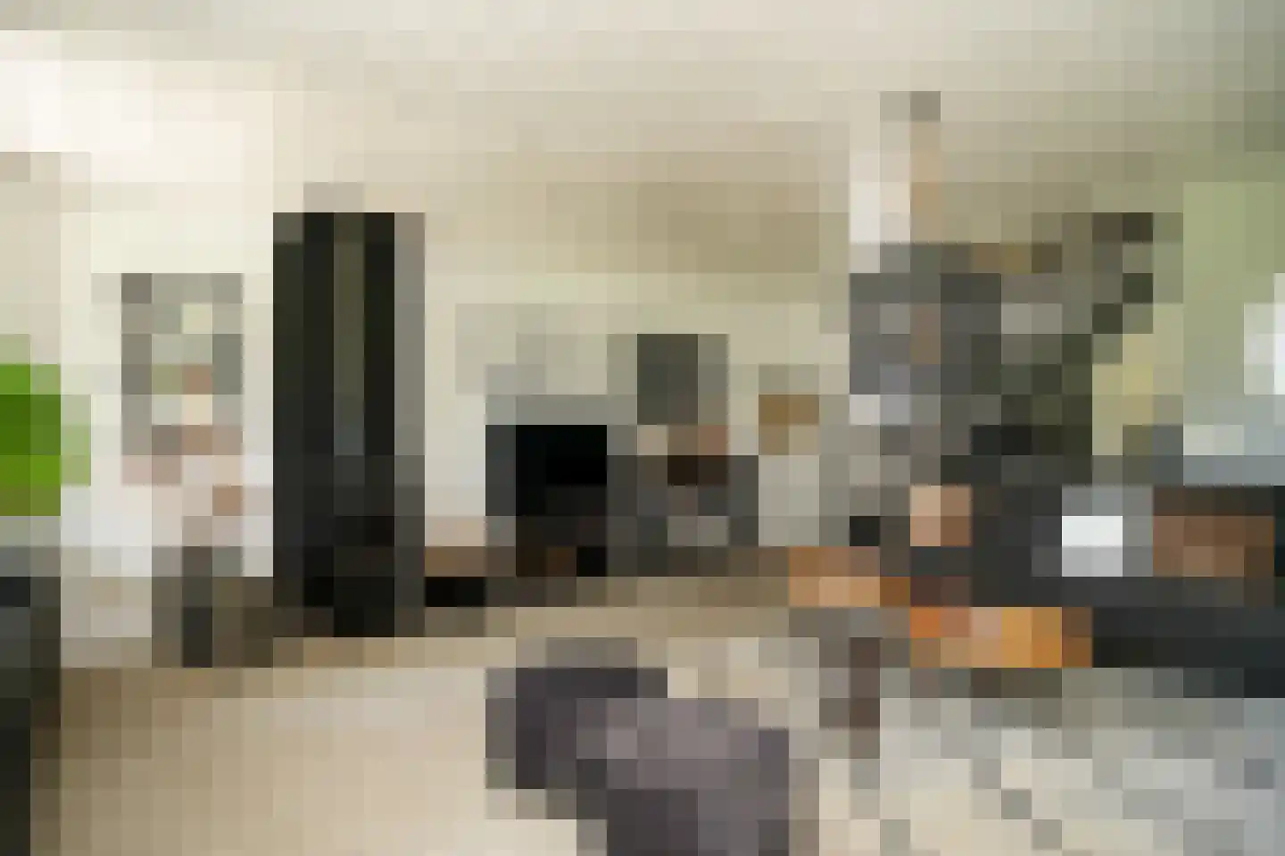 Achtersteweg 4 Meteren thumbnail 14