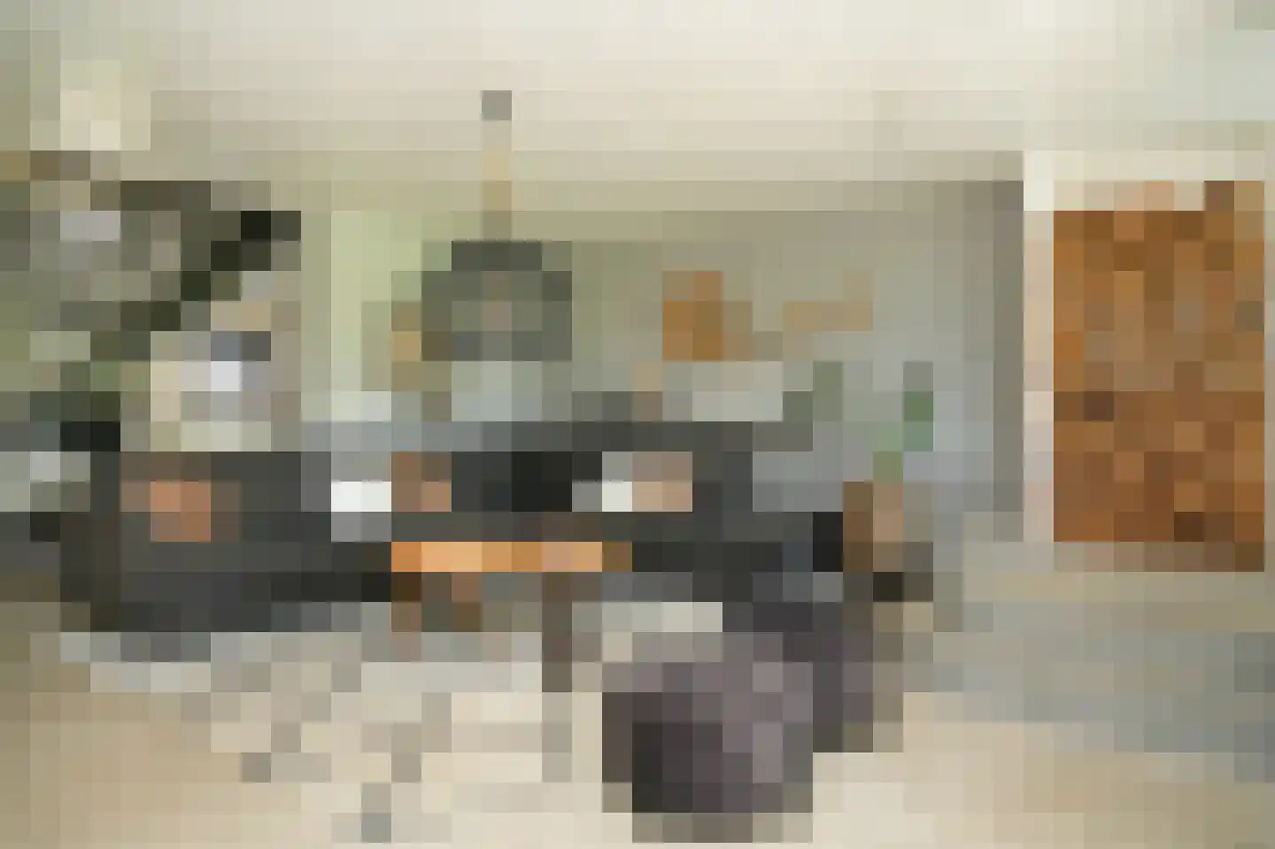 Achtersteweg 4 Meteren thumbnail 15