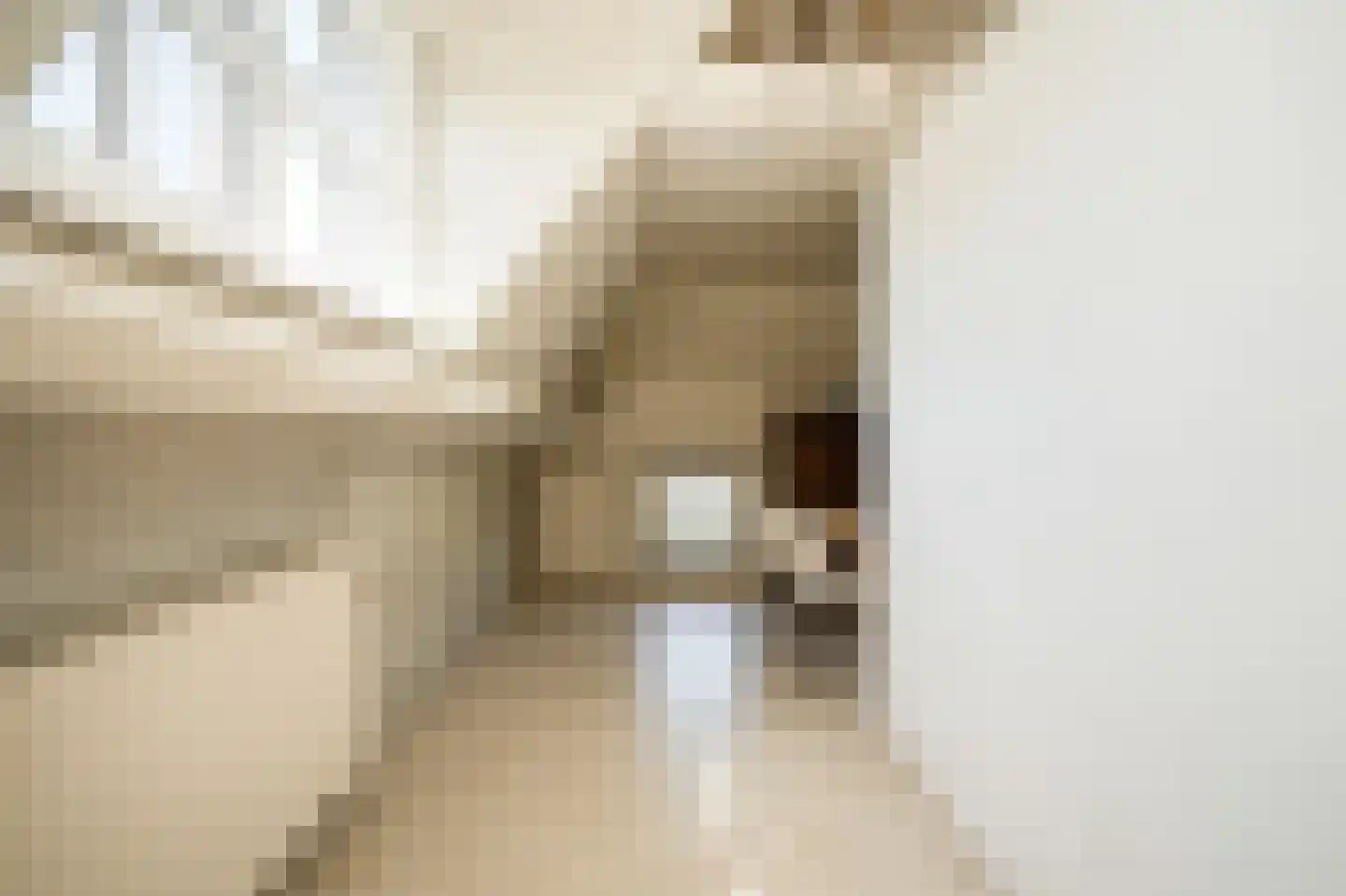 Achtersteweg 4 Meteren thumbnail 22