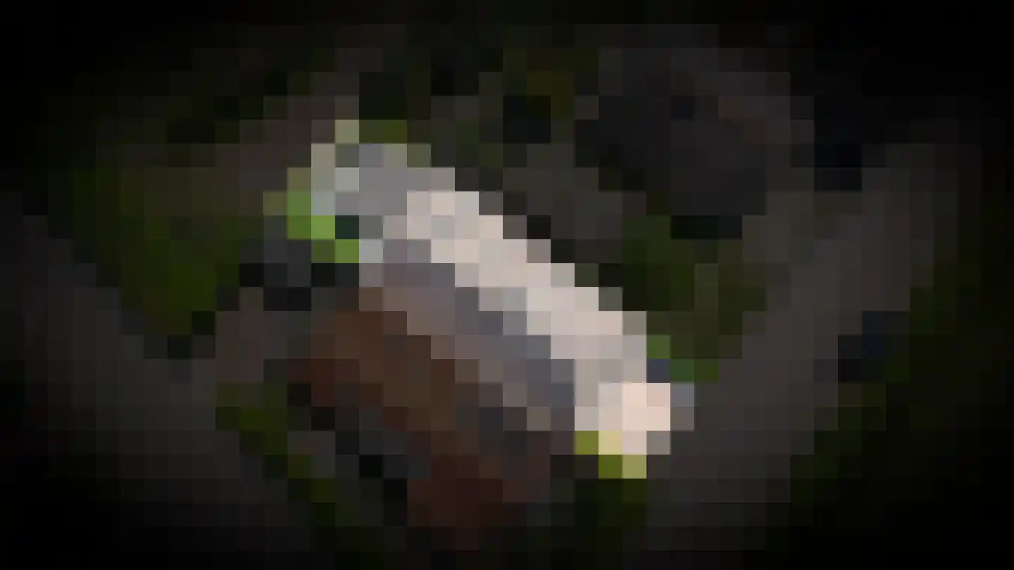 Achtersteweg 4 Meteren thumbnail 34