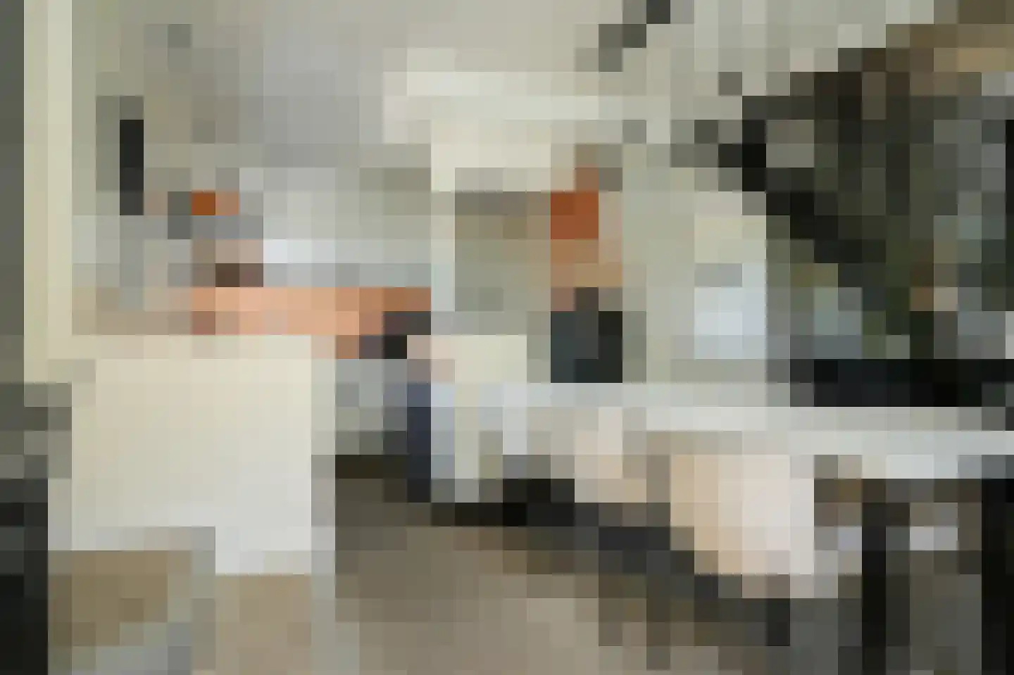 Achtersteweg 4 Meteren thumbnail 6