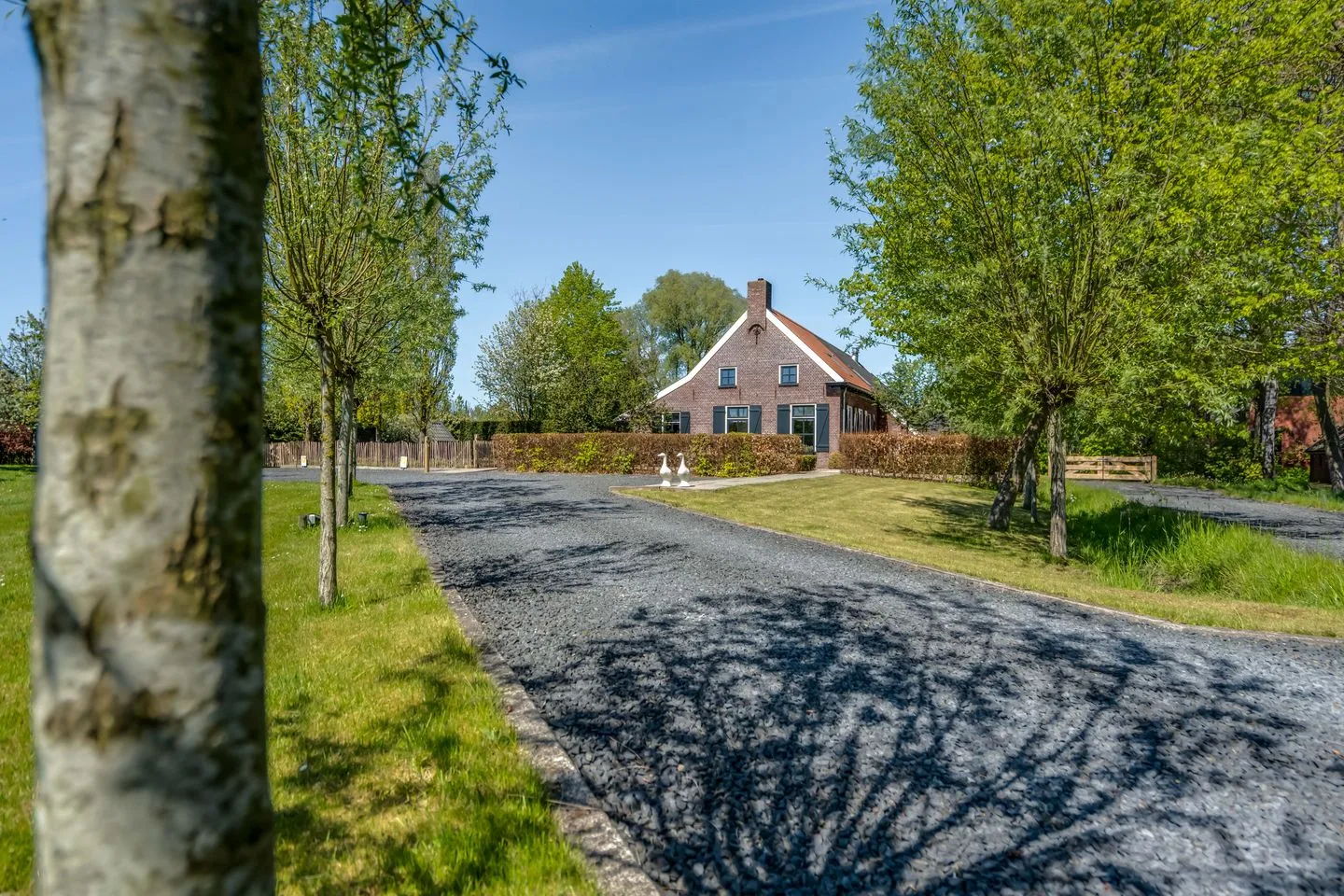 Achtersteweg 6 Roderwolde thumbnail 13