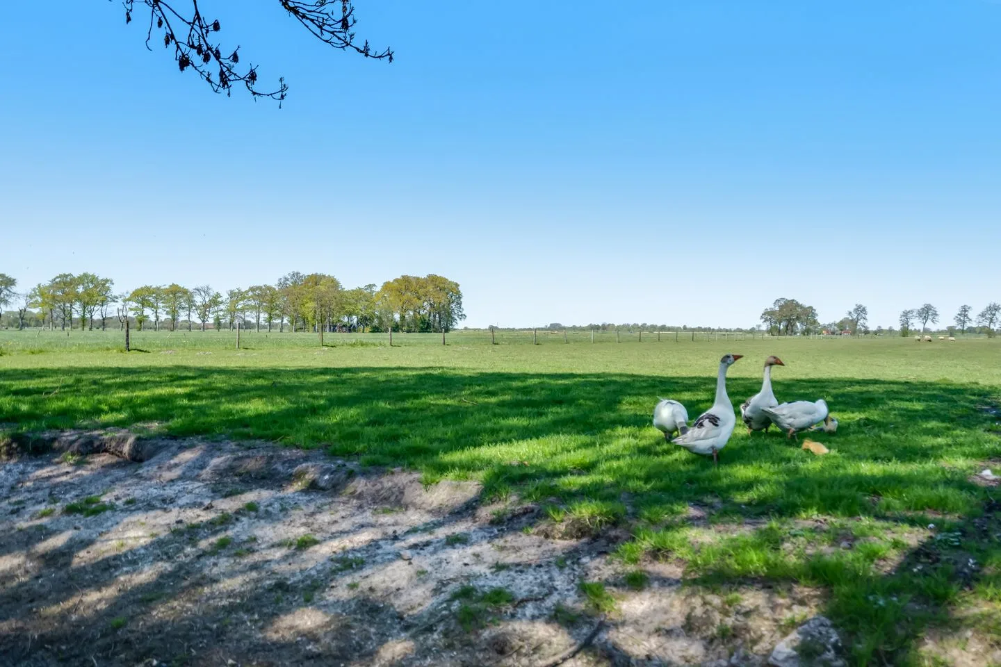 Achtersteweg 6 Roderwolde thumbnail 67