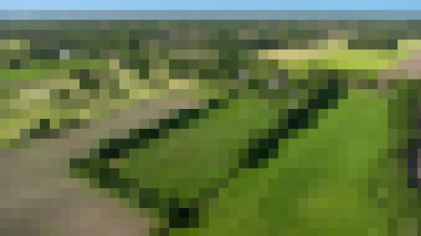 Achterstewold 12 A Peize thumbnail 10
