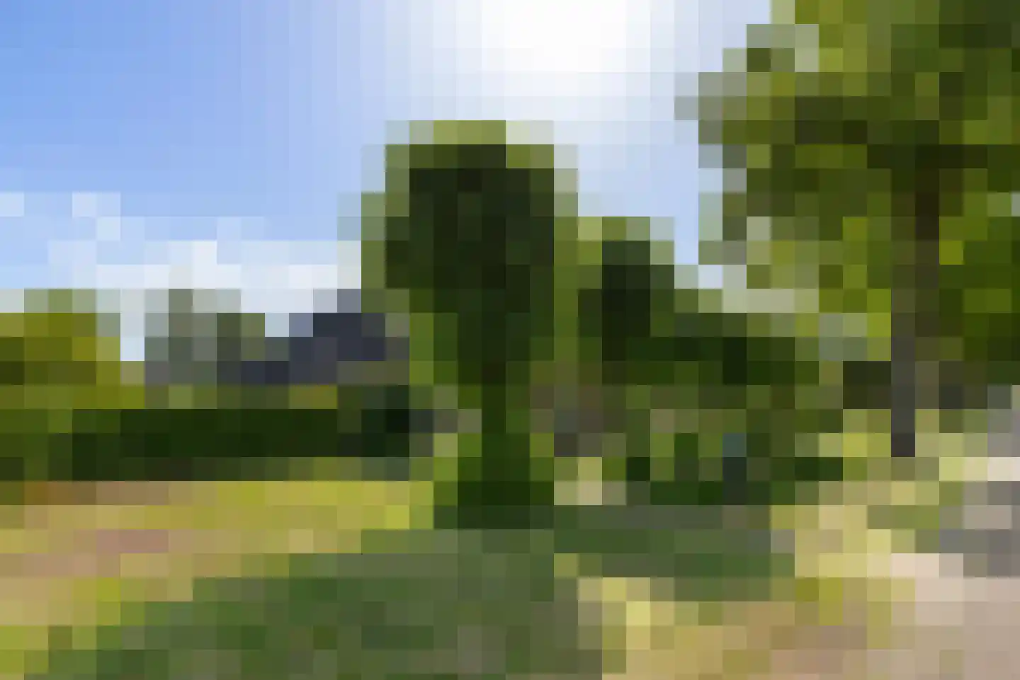 Achterstewold 12 A Peize thumbnail 13