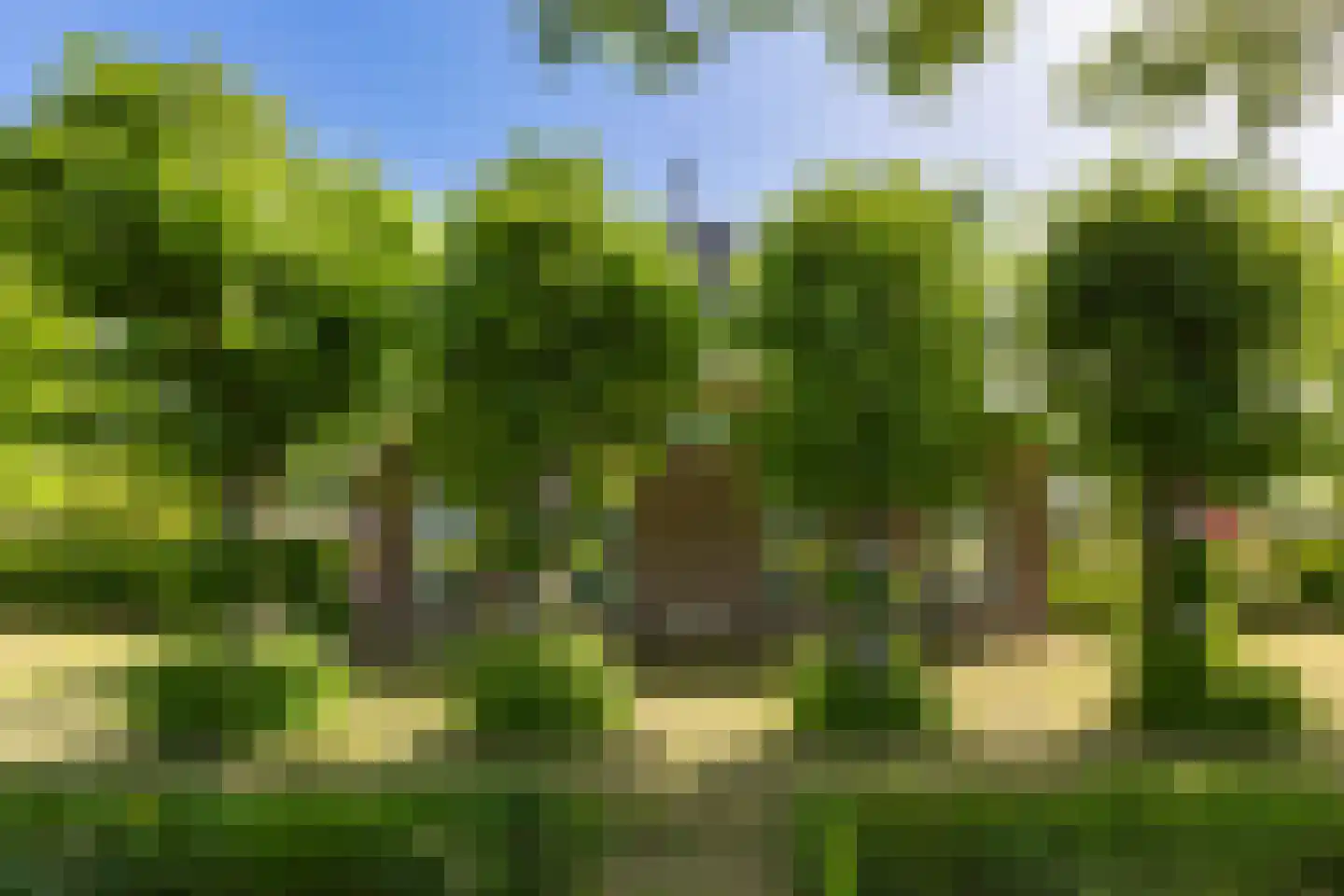 Achterstewold 12 A Peize thumbnail 16