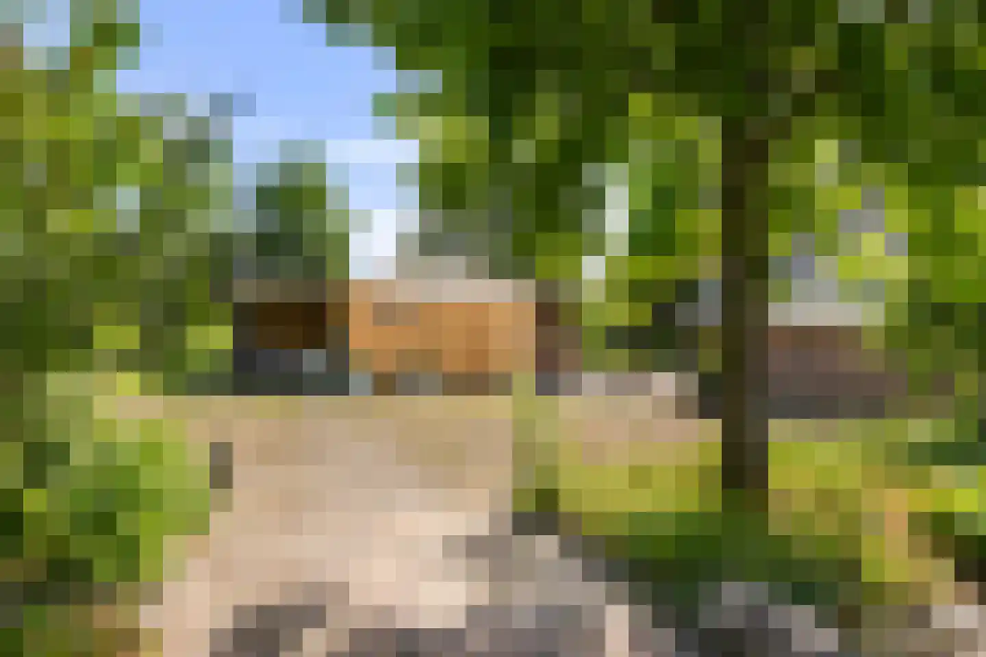 Achterstewold 12 A Peize thumbnail 84