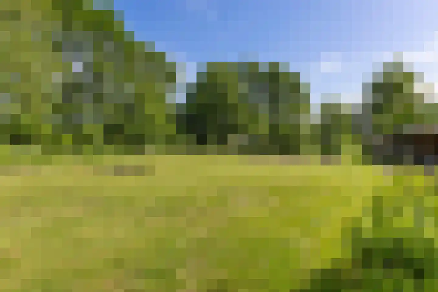 Achterstewold 12 A Peize thumbnail 86