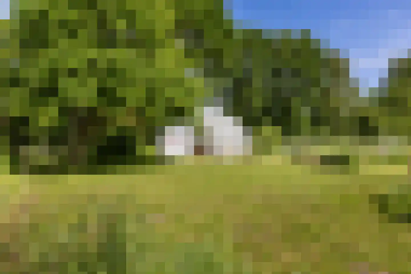 Achterstewold 12 A Peize thumbnail 91